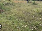 Land Sale in Kaddappirai