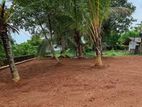 Land Sale in kotte
