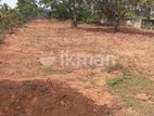 Land Sale in Kumbuka Area