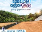 Land Sale in Kumbuka
