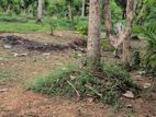 Land Sale in Kurunegala City