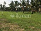 Land Sale in Kurunegala