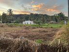 Land Sale in Kurunegala