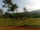 Land Sale In Matale