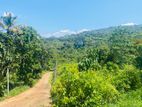 Land Sale In Matale