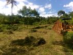 Land Sale in Matale