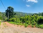 Land Sale in Matale