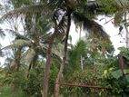 Land Sale in Matara