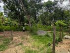 Land Sale in Monaragala City 100+ Perch