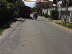 Land Sale in Mount Lavinia