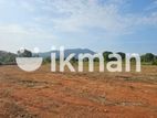 Land Sale in Naula - නාඋලින් ඉඩමක් විකිණීමට