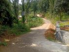 Land Sale in Nelumdeniya