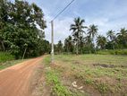 Land Sale in Padeniya