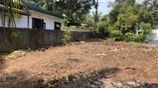 Land for Sale in Panadhura