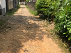 Land for Sale in Panadhura