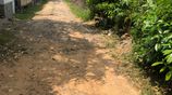 Land for Sale in Panadhura
