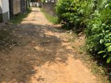 Land for Sale in Panadhura