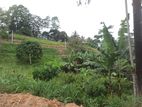 Land Sale in Peradeniya