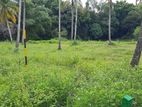 Land Sale in Pothuhera