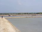 Land Sale in Puttalam