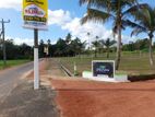 Land Sale In Rathmale -15P...