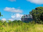 Land Sale in Sigiriya - සීගිරියෙන් අනර්ඝ ඉඩමක් විකිණීමට