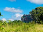 Land Sale in Sigiriya - සීගිරියෙන් අනර්ඝ ඉඩමක් විකිණීමට