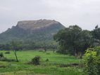 Land Sale in Sigiriya - සීගිරියෙන් ඉඩමක් විකිණීමට