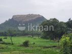 Land Sale in Sigiriya - සීගිරියෙන් ඉඩමක් විකිණීමට