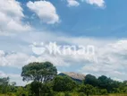 Land Sale in Sigiriya - සීගිරියෙන් ඉඩමක් විකිණීමට
