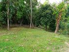 Land Sale in Vabada Kadawatha