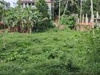 Land Sale in Walahanduwa