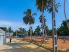 Land Sale in Walana M20