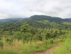 Land Sale in Wariyagala