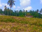 Land Sale කටුනායක