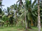 Land Sale Minuwangoda