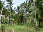 Land Sale Minuwangoda Kalawana