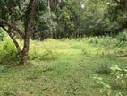 Land Sale Near to Polonnaruwa Town