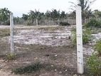 Land Sale ( நிலம் விற்பனை) Batticaloa