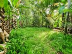 Land Sale Nittambuwa