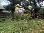 Land Sale Pannipitiya