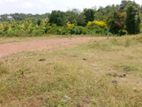 Land Sale Raigama