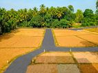 Land Sale Rekawa, Tangalle (Down South)