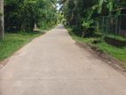 Land for Sale in Seeduwa