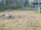 Land for Sale in Seeduwa