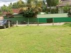 Land Sale Seelarathan Roda Horana