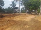 Land Sale Udumulla