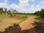 Land for Sale in Elpitiya