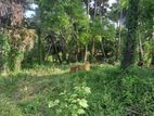 Land for Sale Jaffna