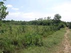 Land Suitable for A Villa Sale in Beruwala